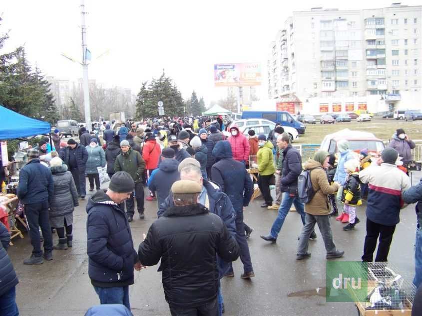 В Дружковке прошла региональная выставка-ярмарка птиц и животных