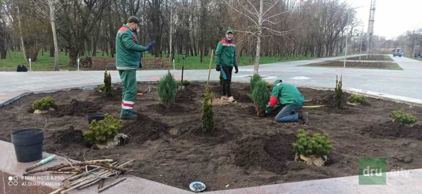 Озеленение Дружковки