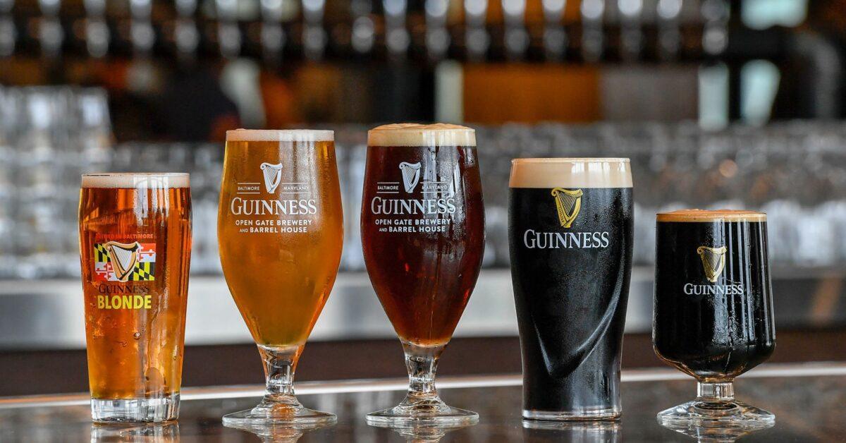 Guinness: отличия и разновидности известнейшего ирландца