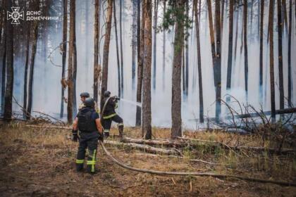 Вже п'яту добу триває ліквідація лісової пожежі на території НПП «Святі гори»