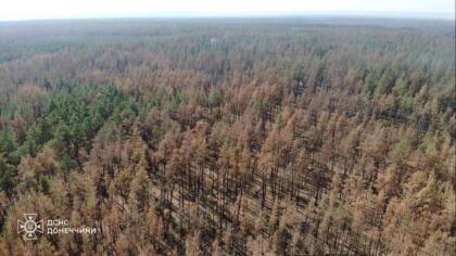 На Донеччині ліквідовано масштабну лісову пожежу яка вирувала 8 днів