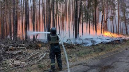 На Донеччині ліквідовано масштабну лісову пожежу яка вирувала 8 днів