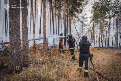 На Донеччині ліквідовано масштабну лісову пожежу яка вирувала 8 днів