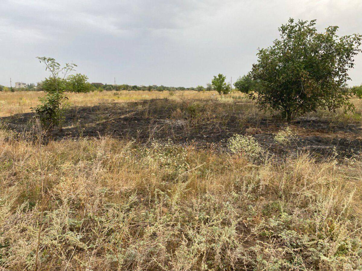 Dry grass was burning in Druzhkovka