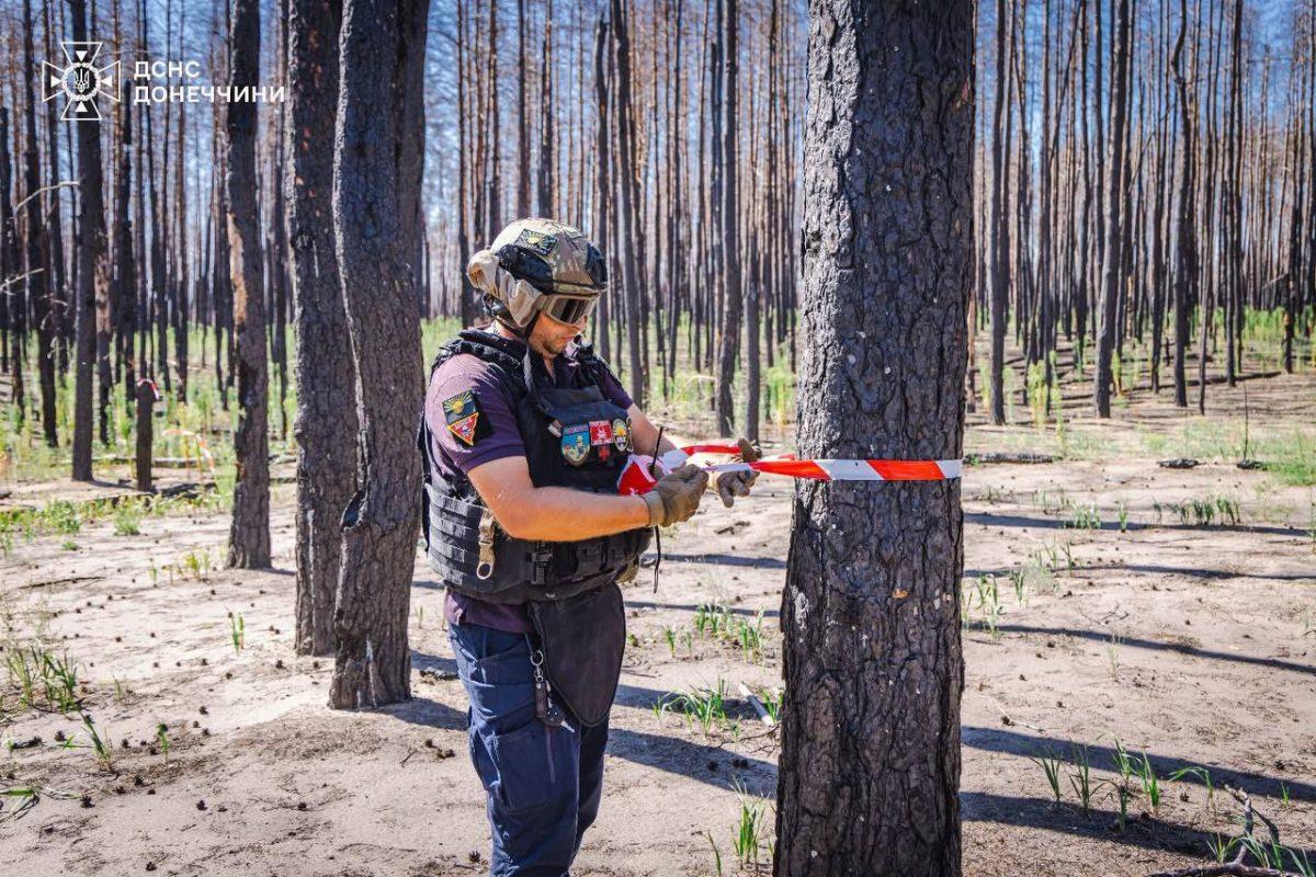 За добу піротехніки ДСНС виявили та знищили 57 вибухонебезпечних предметів